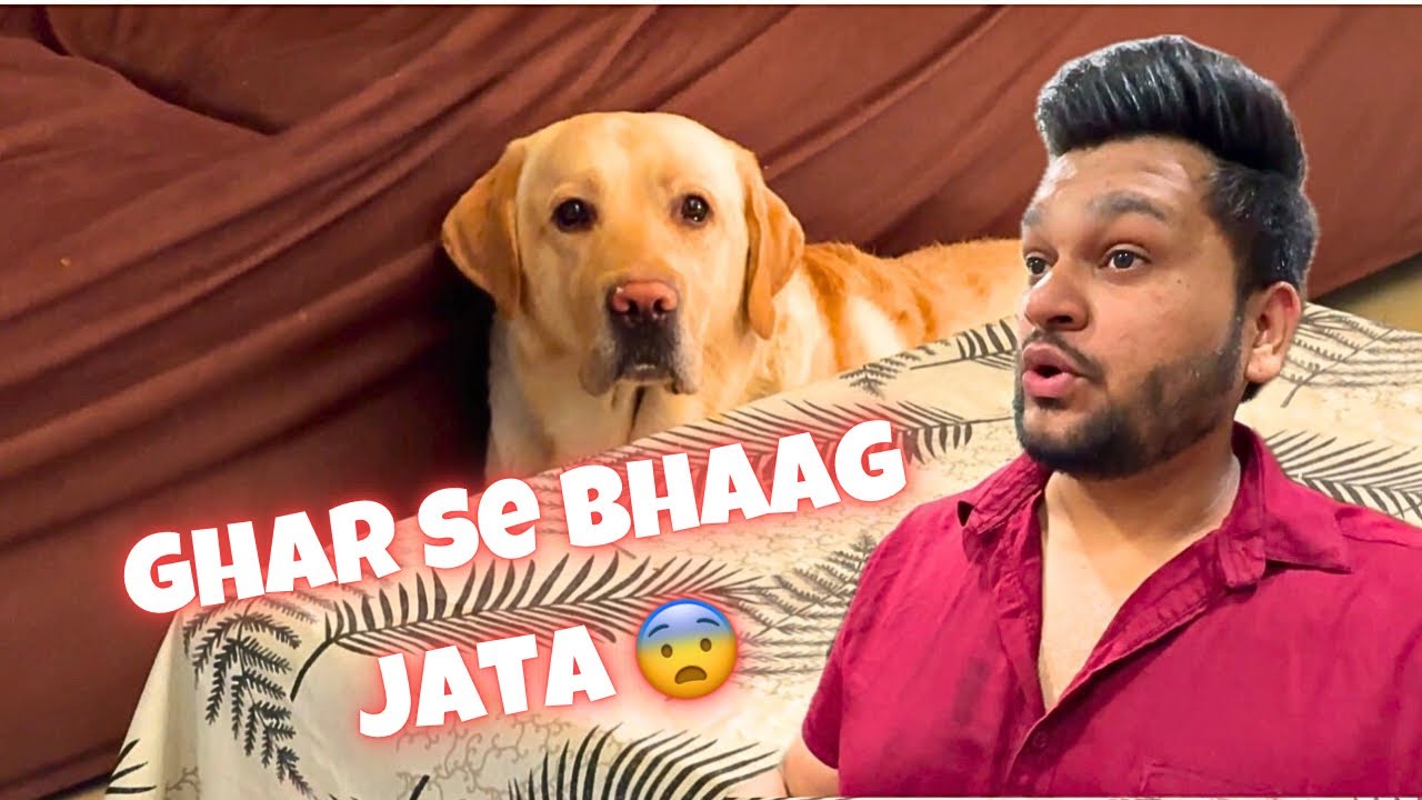 Simba Ghar Se Bhaag raha tha 😓#vlog