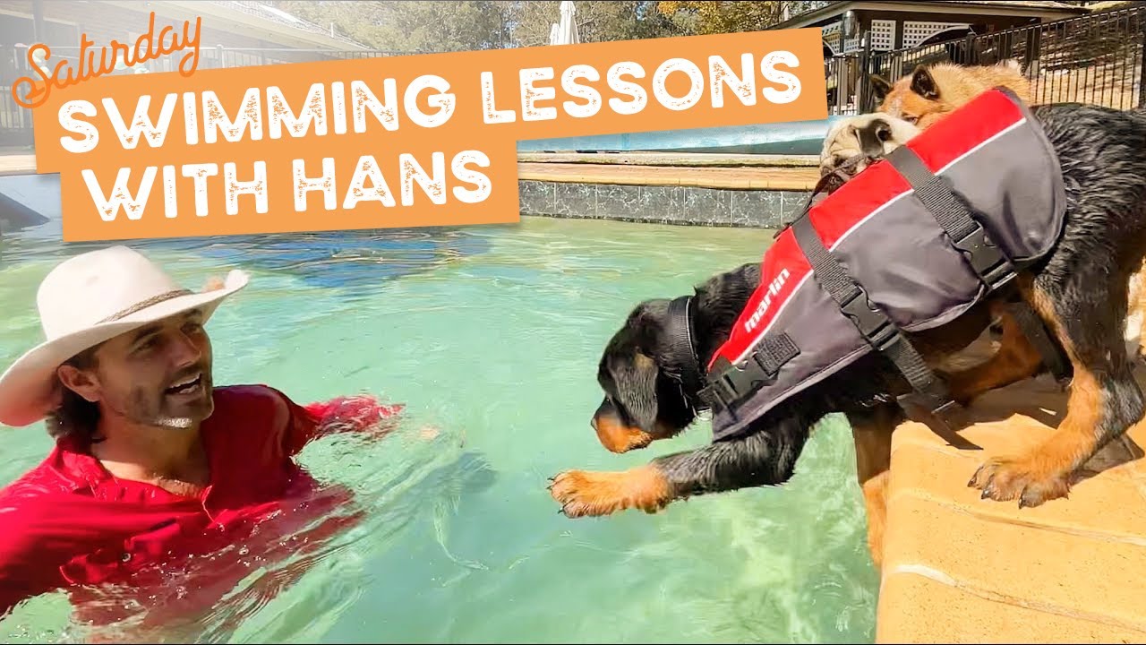 Rottweiler Puppy Swims for First Time | The Farm