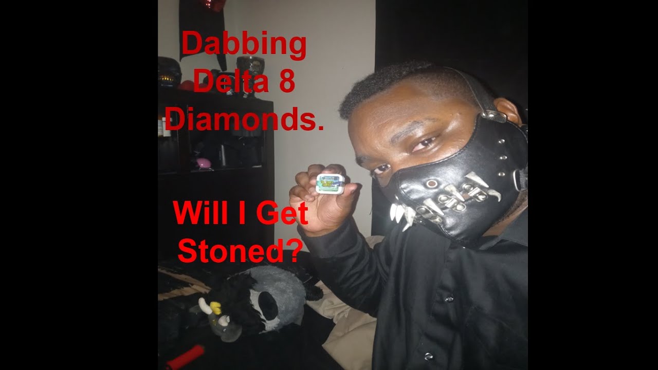 DAZED8 Northern Lights Review/Sesh