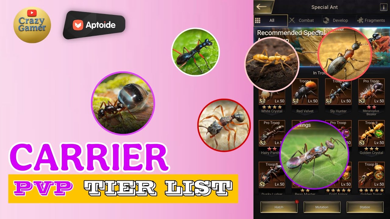 CARRIER Ants Updated Latest PVP Tier List including All Ants Till now | The Ants Underground king