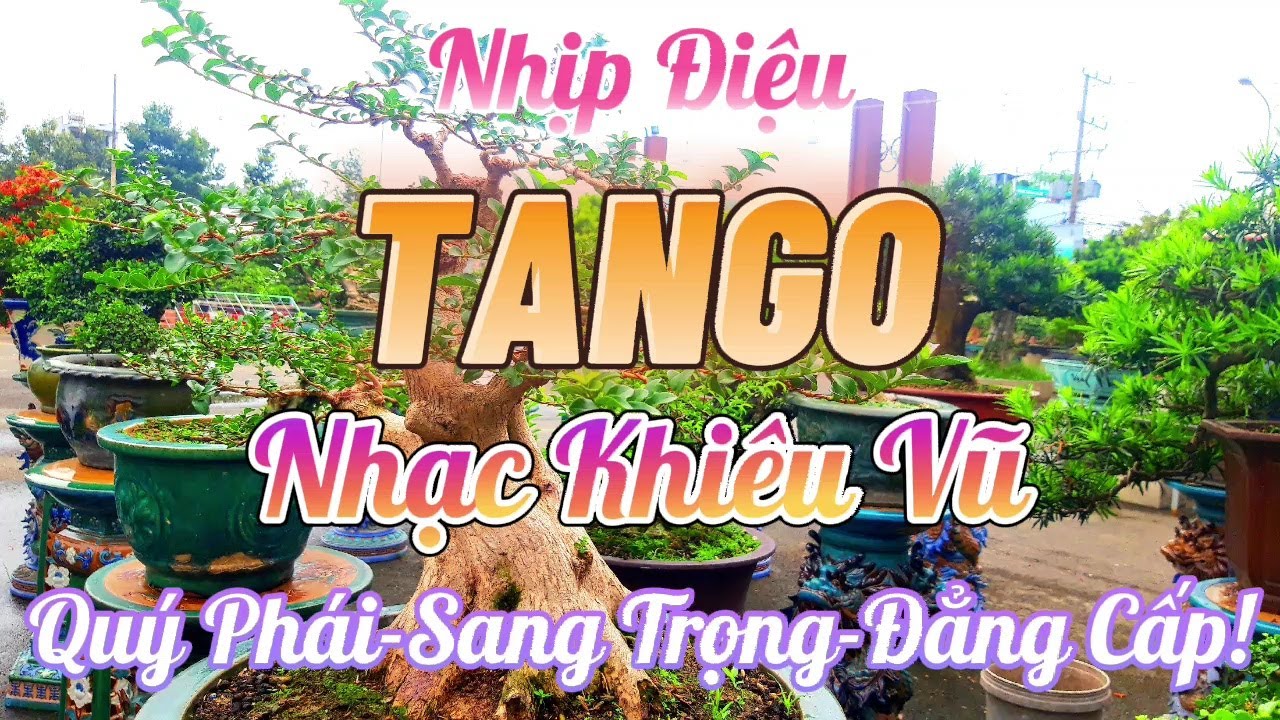 Nhịp Điệu TANGO Khiêu Vũ Quý Phái | Nhạc TANGO Không Lời Tuyển Chọn Hay Nhất | Organ Channel