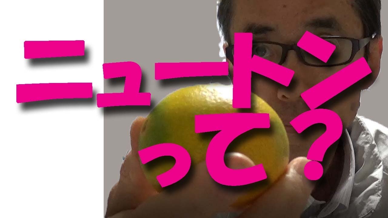1ニュートンってどれくらい？
