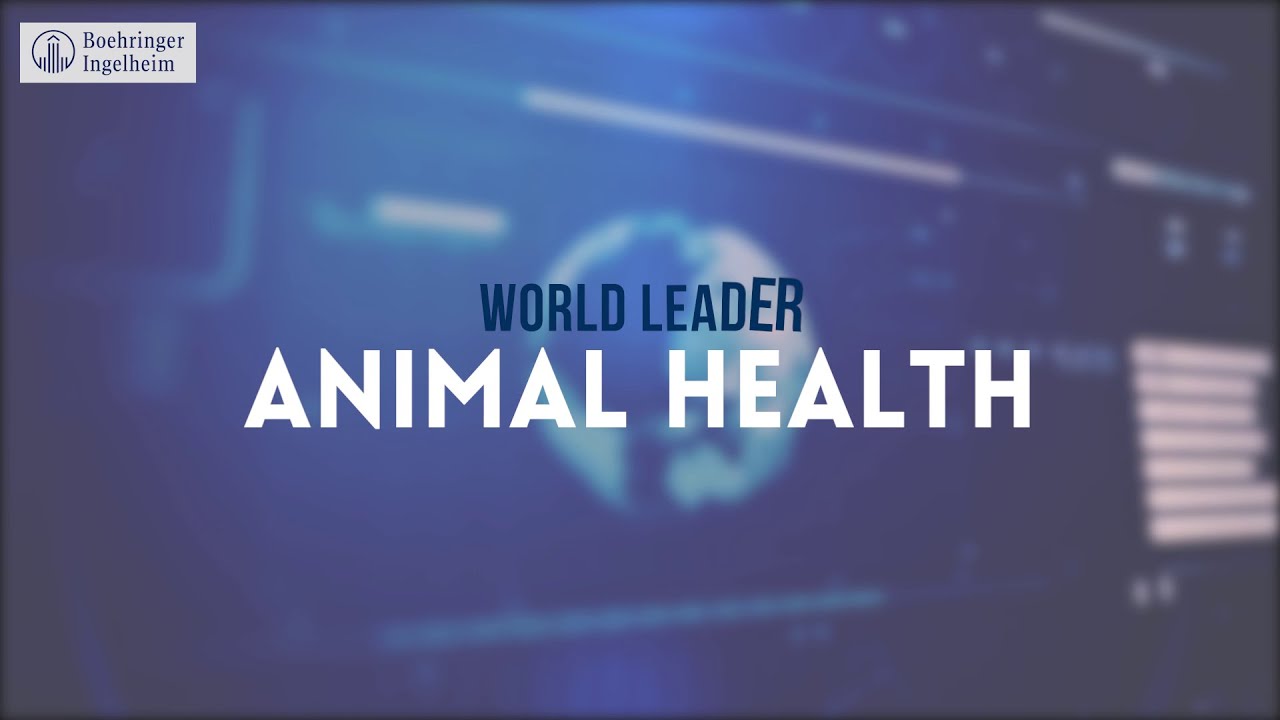 Corporate Video | Boehringer Ingelheim Animal Health