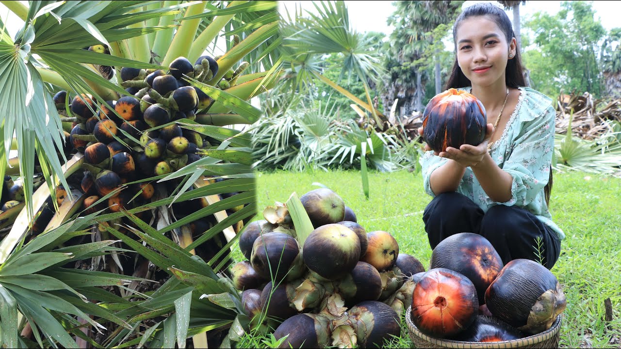 Palm tree in my village - How to make traditional cake in Cambodia