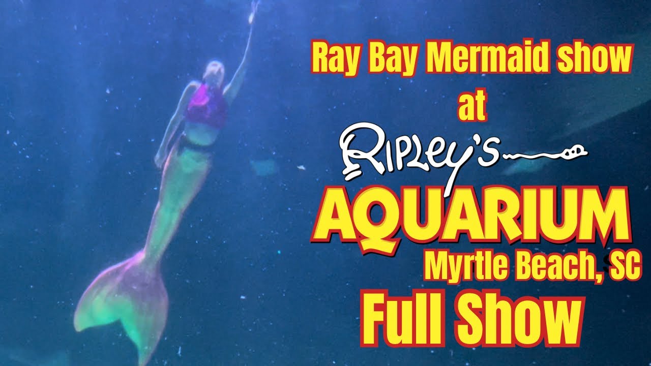 Ray Bay Mermaid Show (Full Show) at Ripley’s Aquarium of Myrtle Beach, SC | 2024