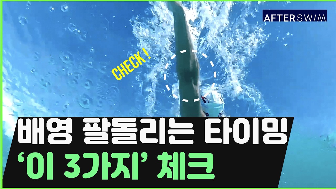 배영 팔돌리기 타이밍과 롤링 꿀팁 3가지