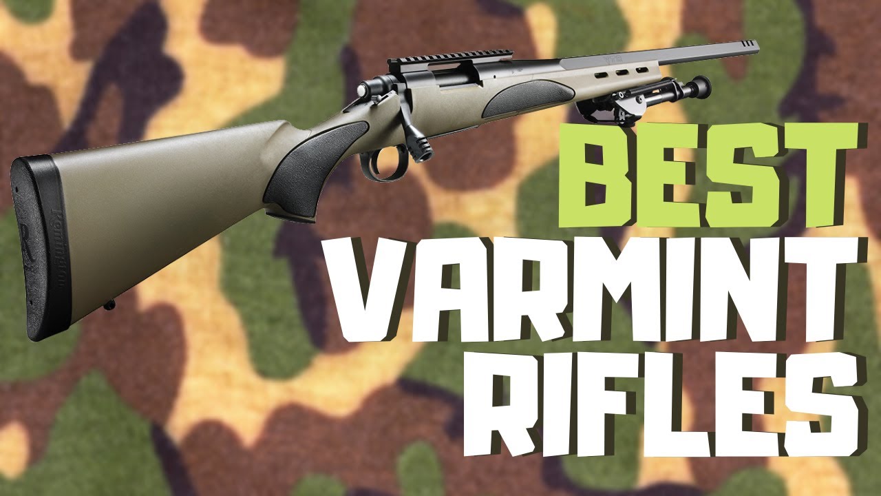 Best Varmint Rifle [2024] | Top 9 Varmint Rifles For The Money