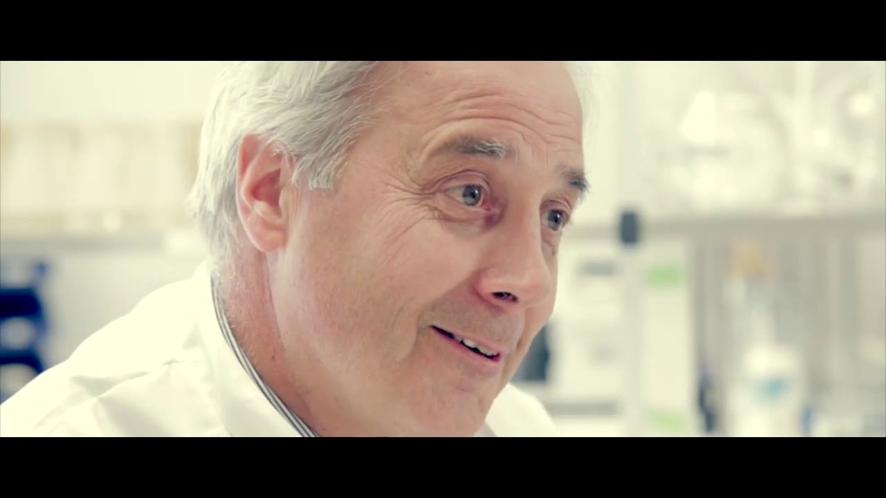 Lallemand - The Art Of Yeast