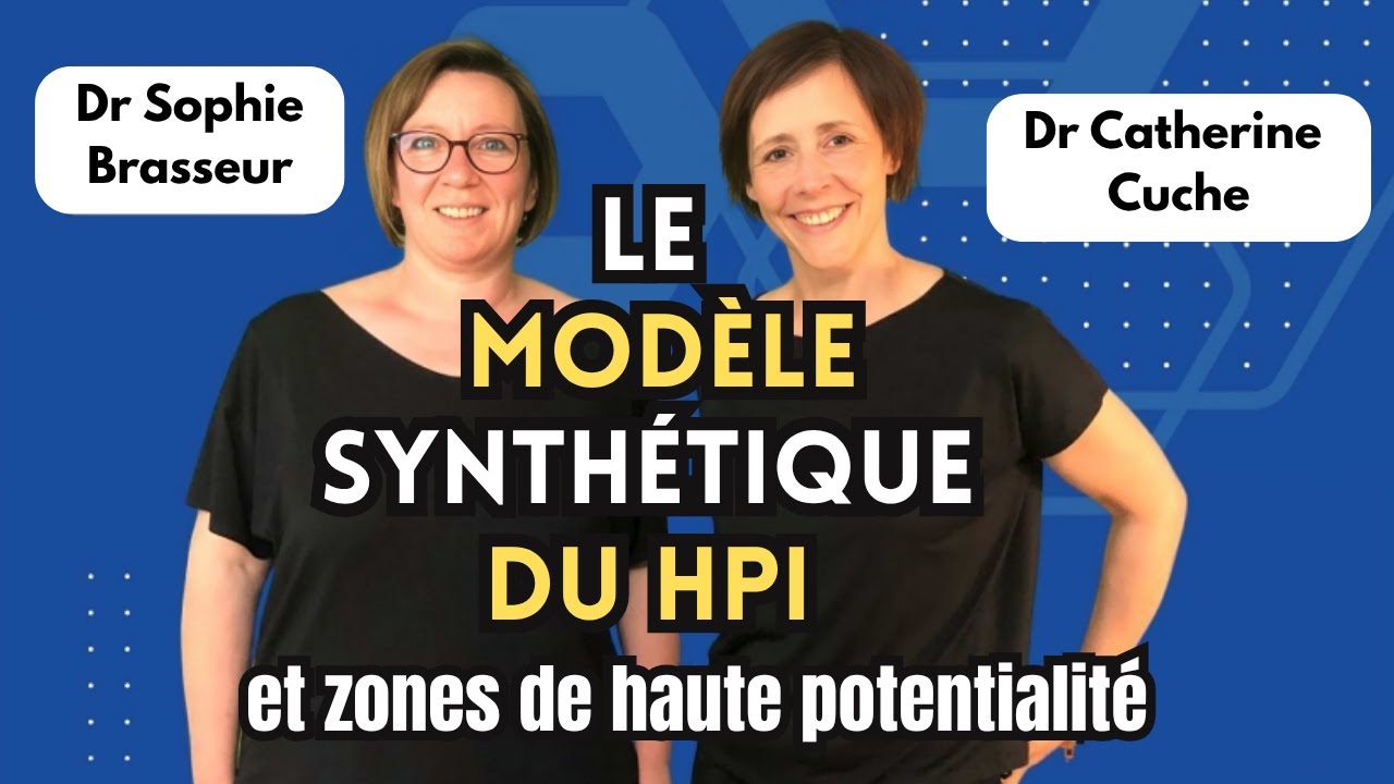 Les zones de haute potentialité et le MSHPI avec C.Cuche et S.Brasseur