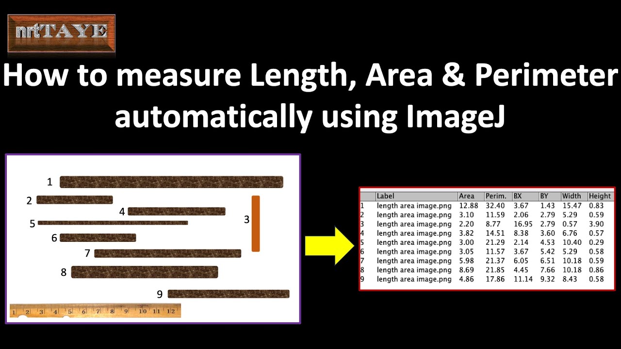 How to measure Length Area and Perimeter automatically using ImageJ