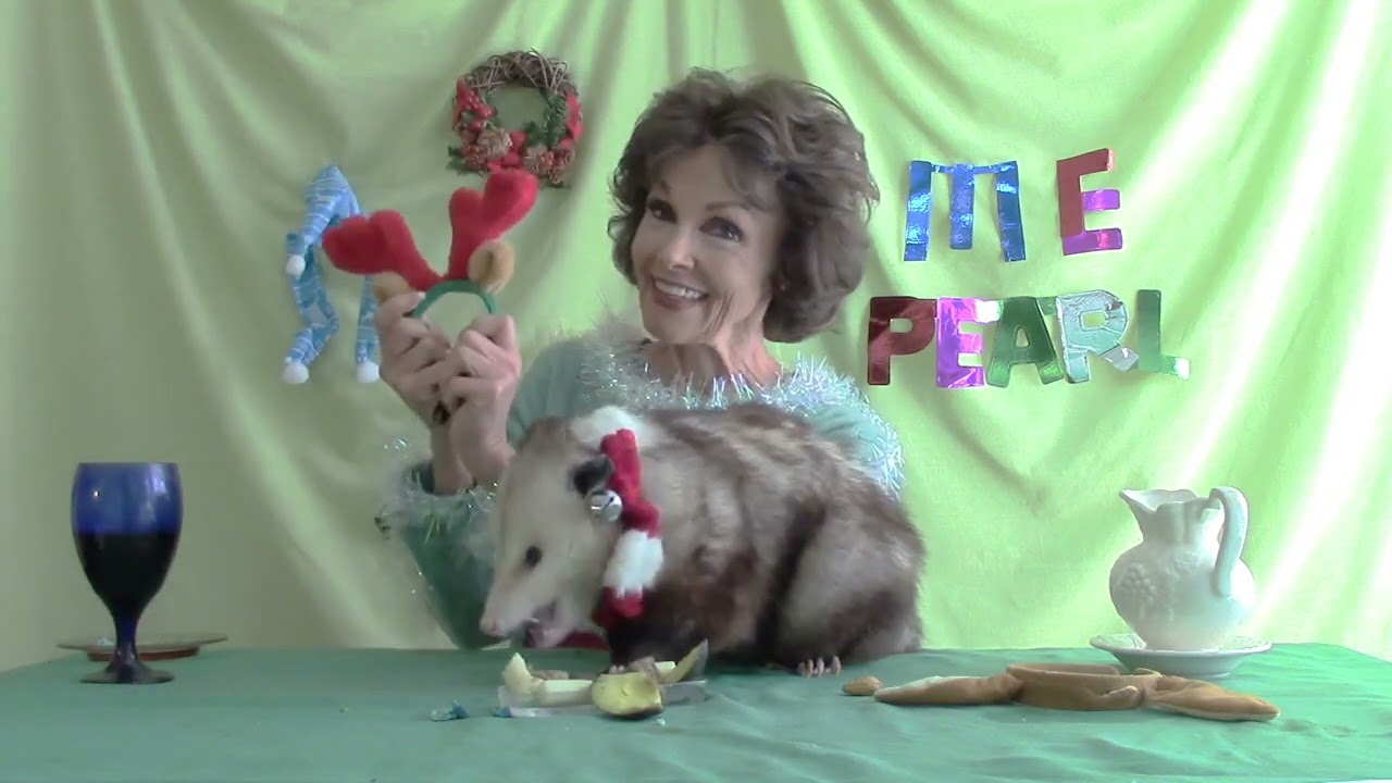 Proper Possum Holiday Psychology