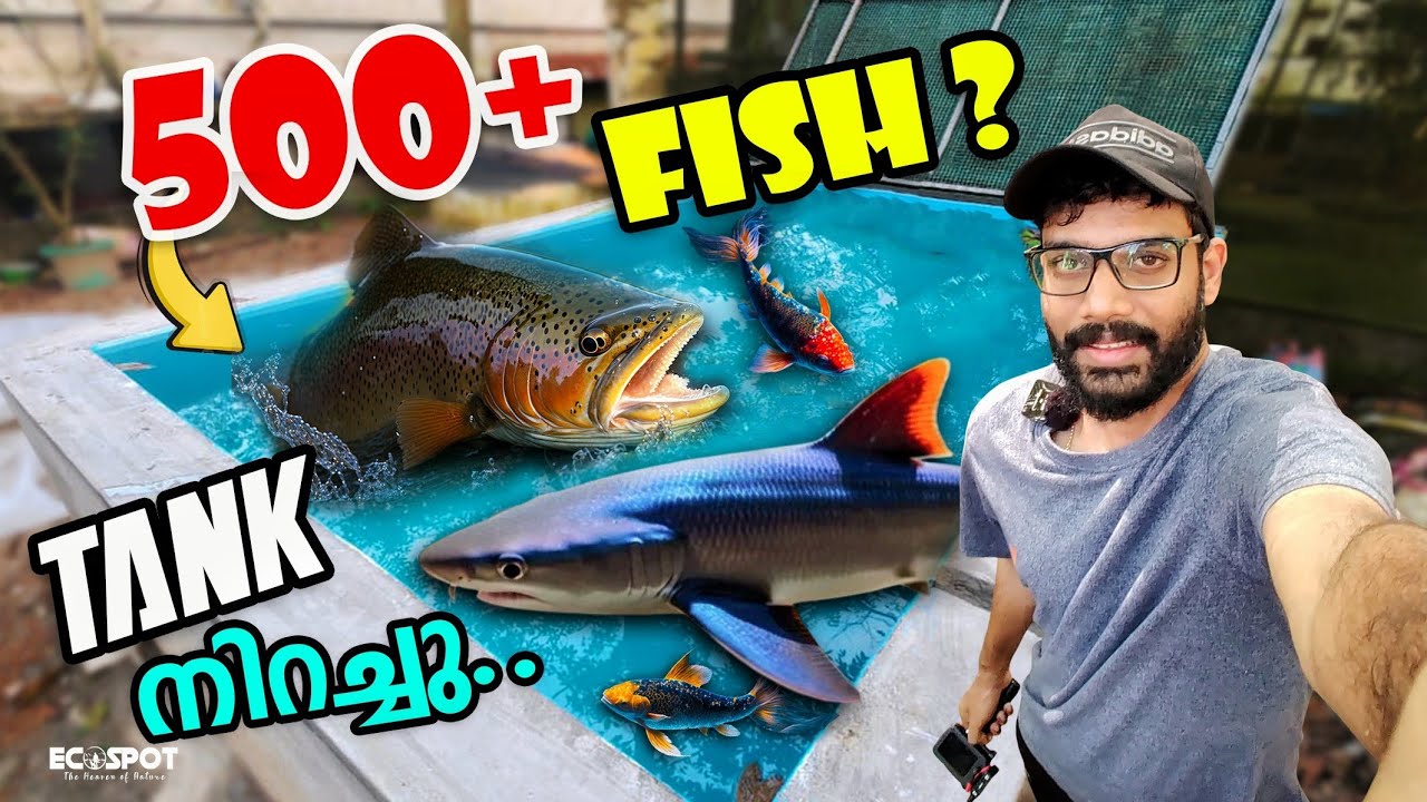 💥😱MONSTER KOIPONDല്‍ നിന്നു കിട്ടിയ FISHES നെ കണ്ടോ ?? | Catching all Fishes from MONSTER KOPOND...