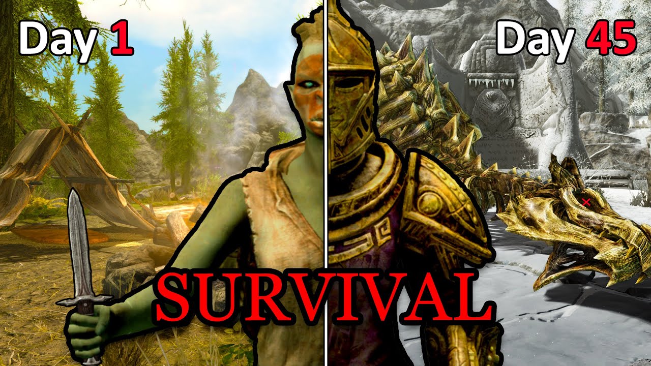 Я провел 50 дней в легендарном выживании в Skyrim