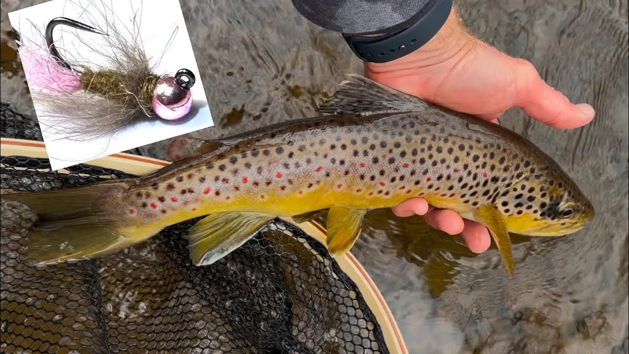 Fly Fishing Winter with Flies and Tips That Work