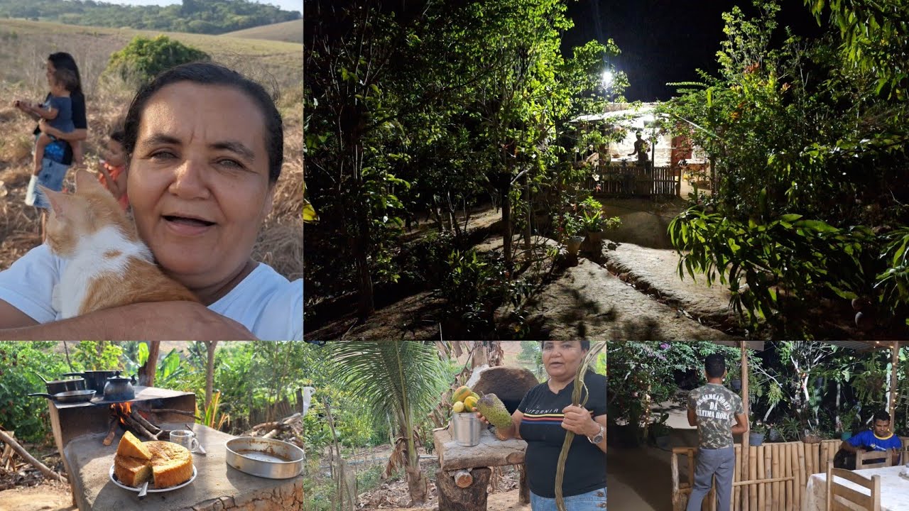 primeira noite no sítio em família depois que temos energia + manhã de colheita e  o pilão