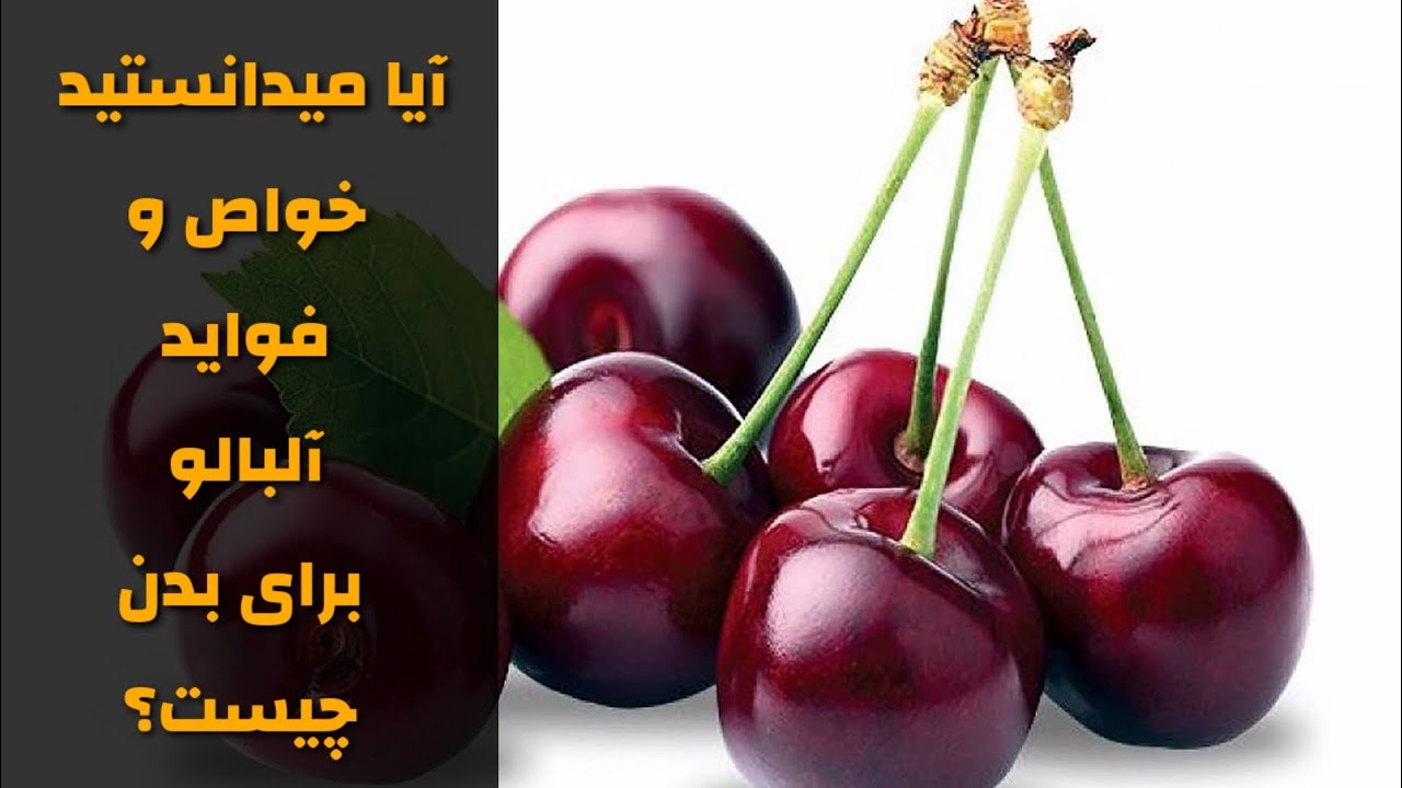 آیا میدانستید  خواص و فواید  آلبالو برای برای بدن چیست؟