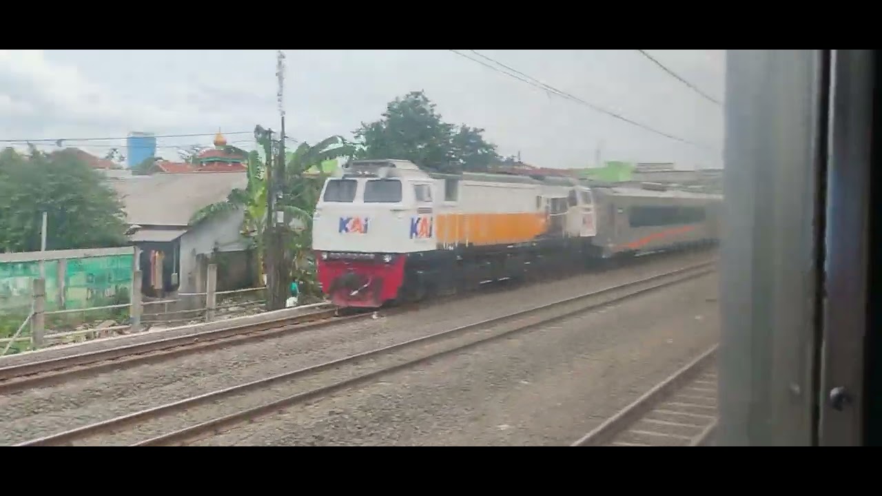 JR 205 blueline