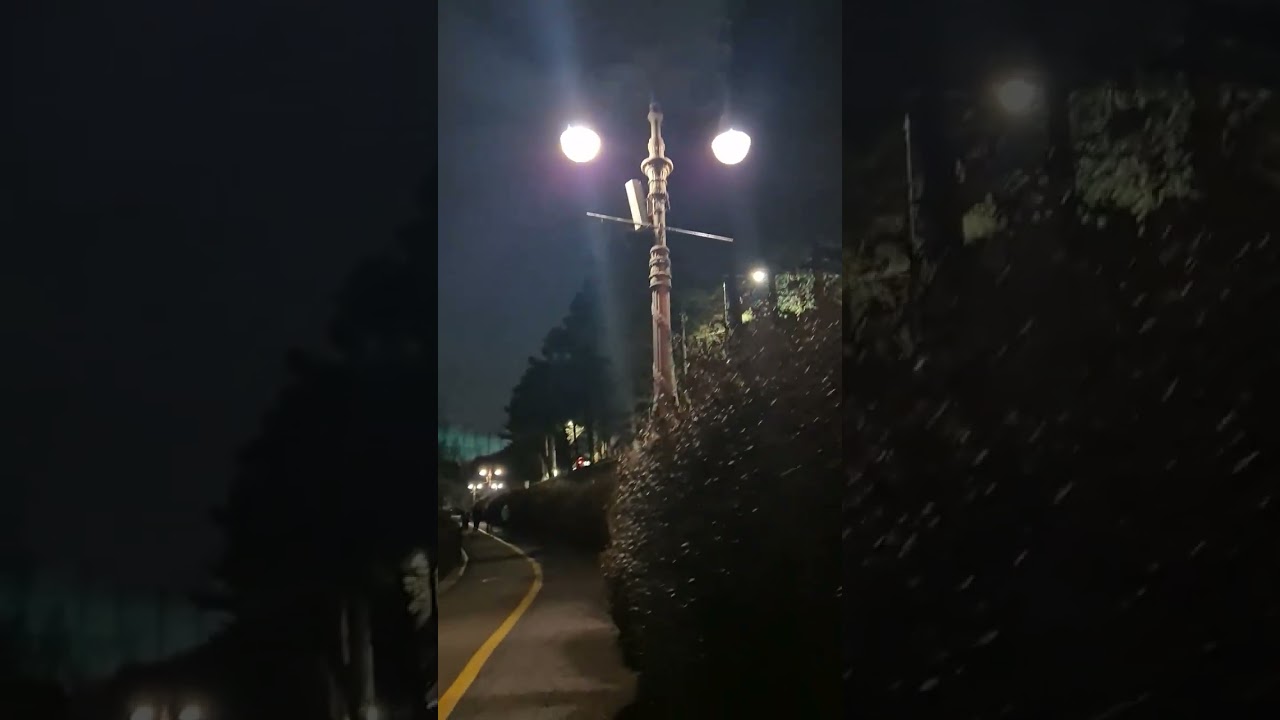 20 Minute Calm Night Walk