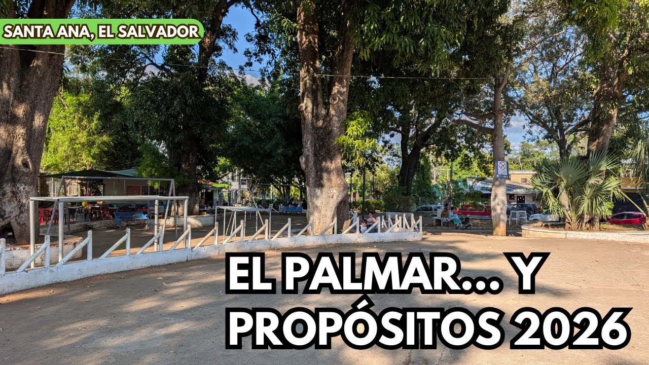 ¿Qué pasará con el canal en 2026? Caminata en El Palmar 🚶‍♂️