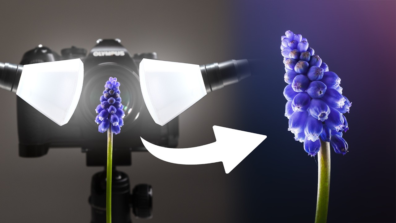 Я впервые попробовал макросъемку цветов.