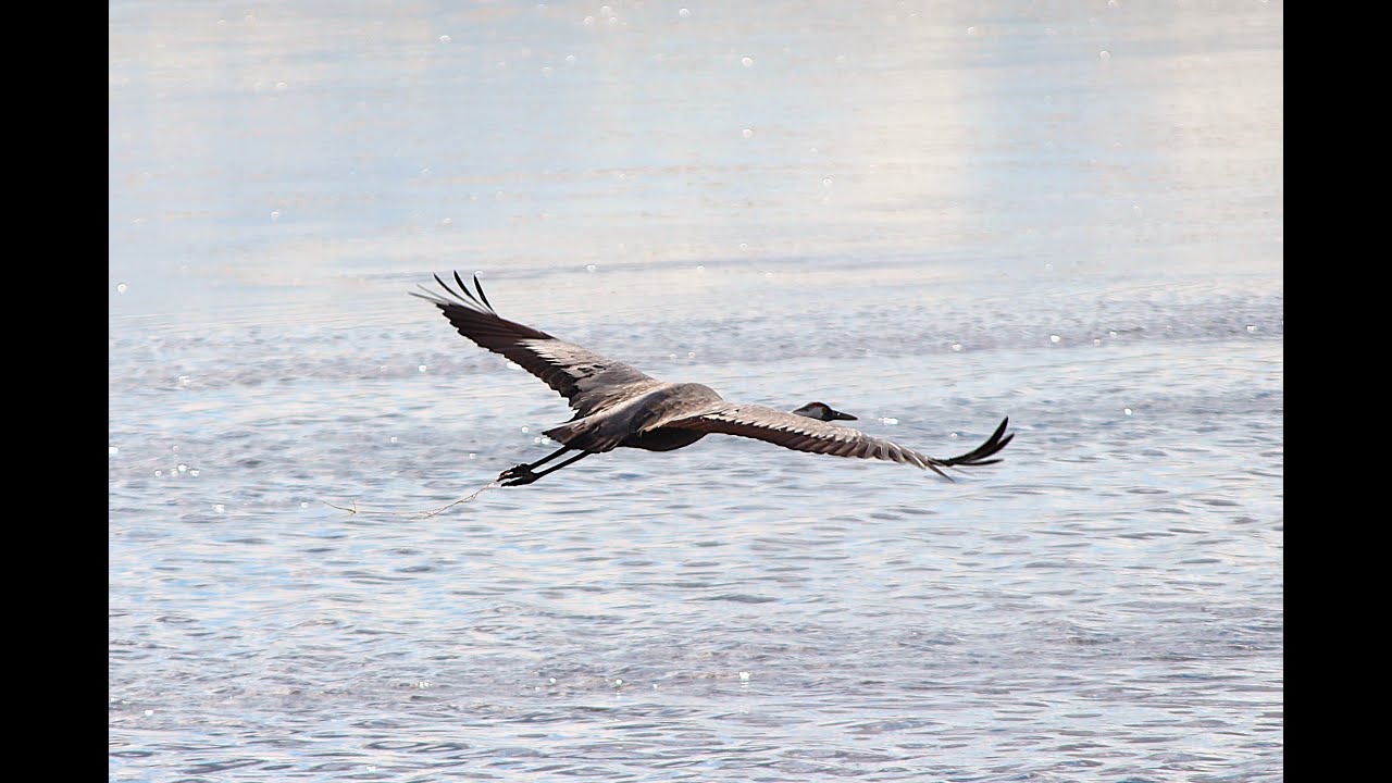 Natuur fotografie