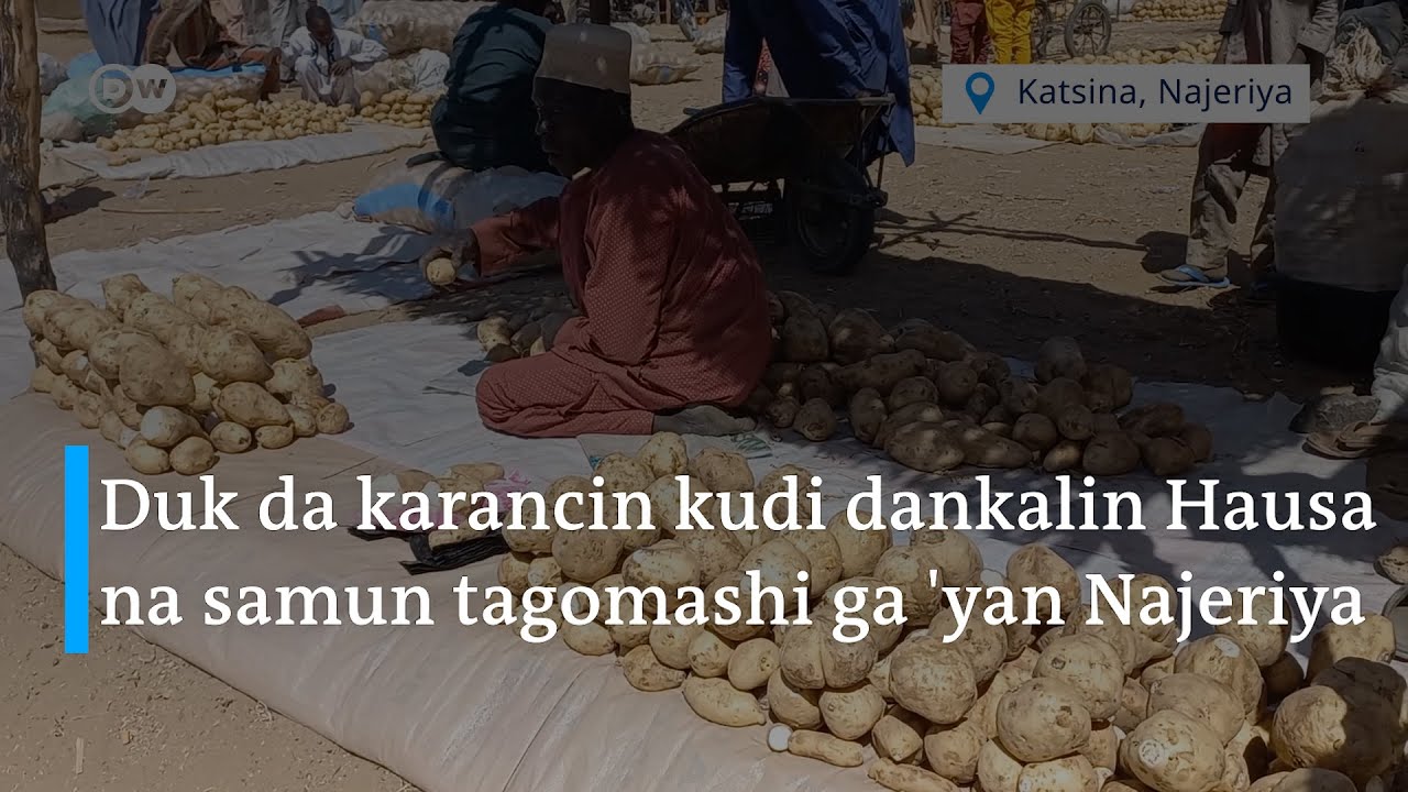 Tagomashin dankalin Hausa na karuwa a Katsina