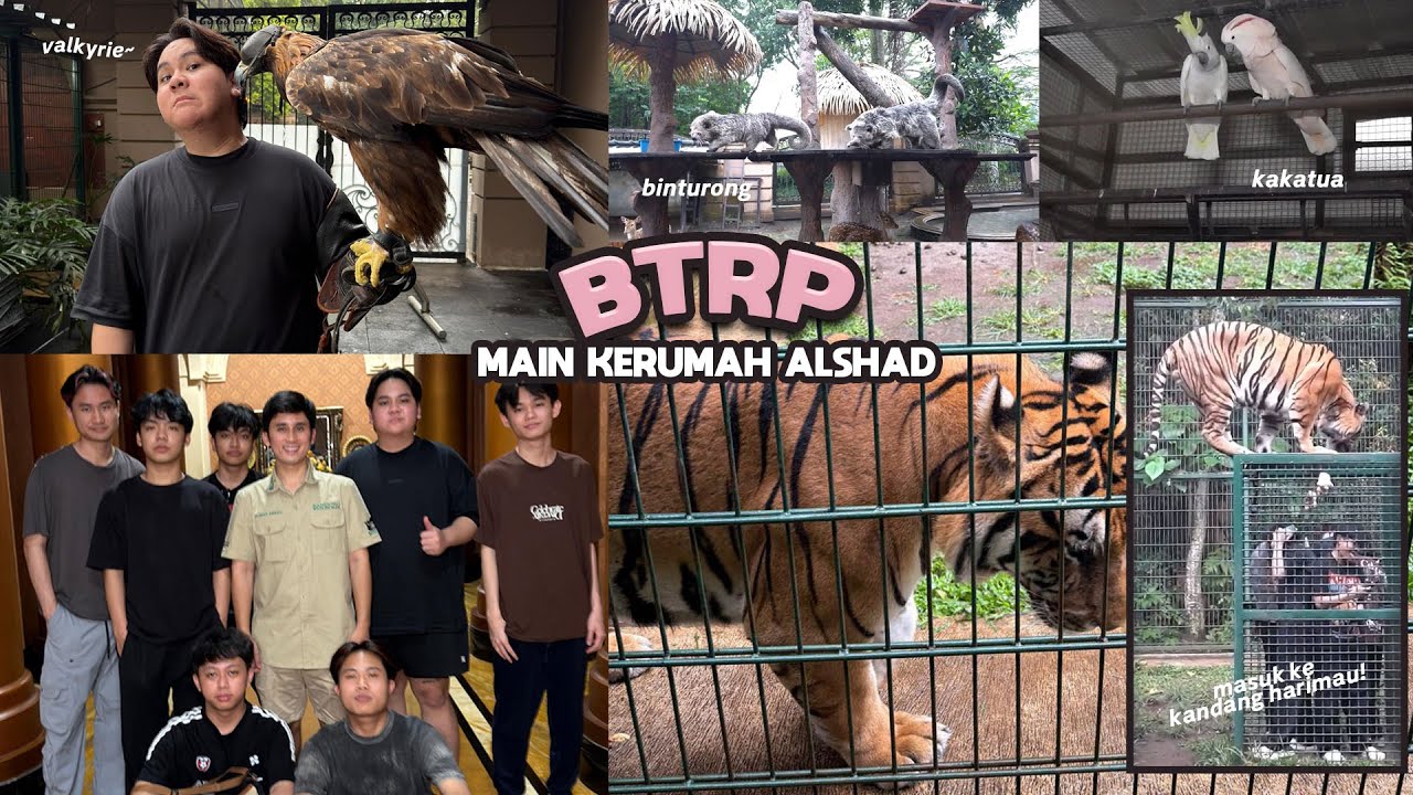 BTRP VISITS @AlshadAhmad's HOUSE! MEET THE ANIMALS AND GO INTO THE TIGER CAGE?!