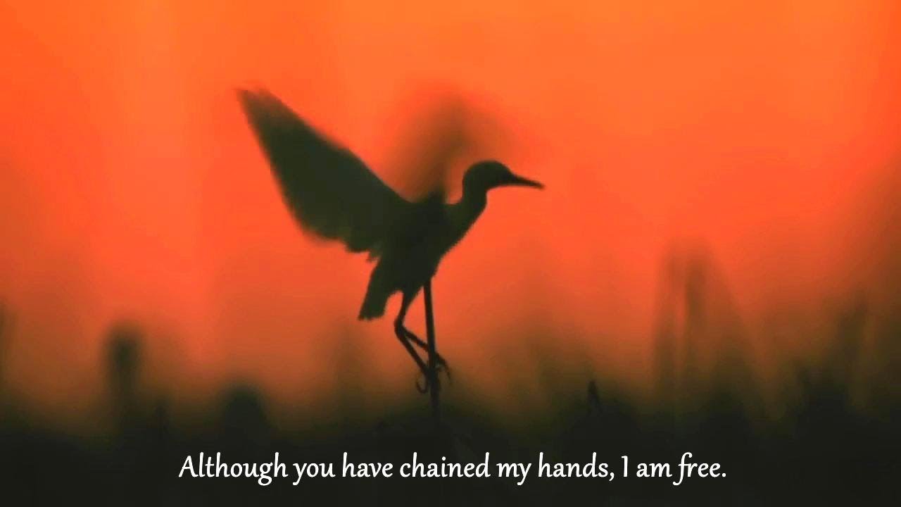 Yo-Yo Ma - Song of the Birds &bull; Pablo Casals
