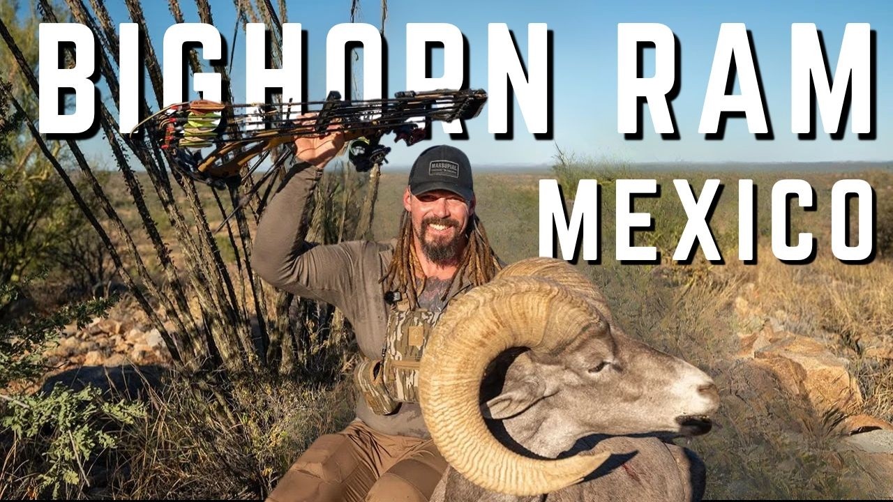 Bowhunting Desert Bighorn Rams in Old Mexico