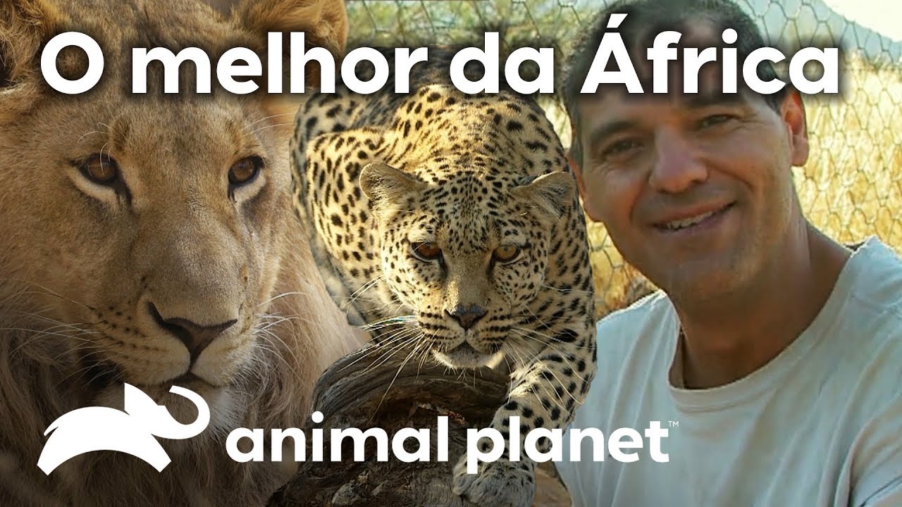 As aventuras de Frank pela África | Wild Frank Perdido Na África | Animal Planet Brasil