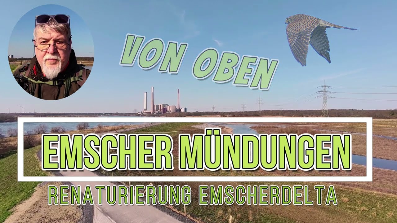 Emscher Delta von oben