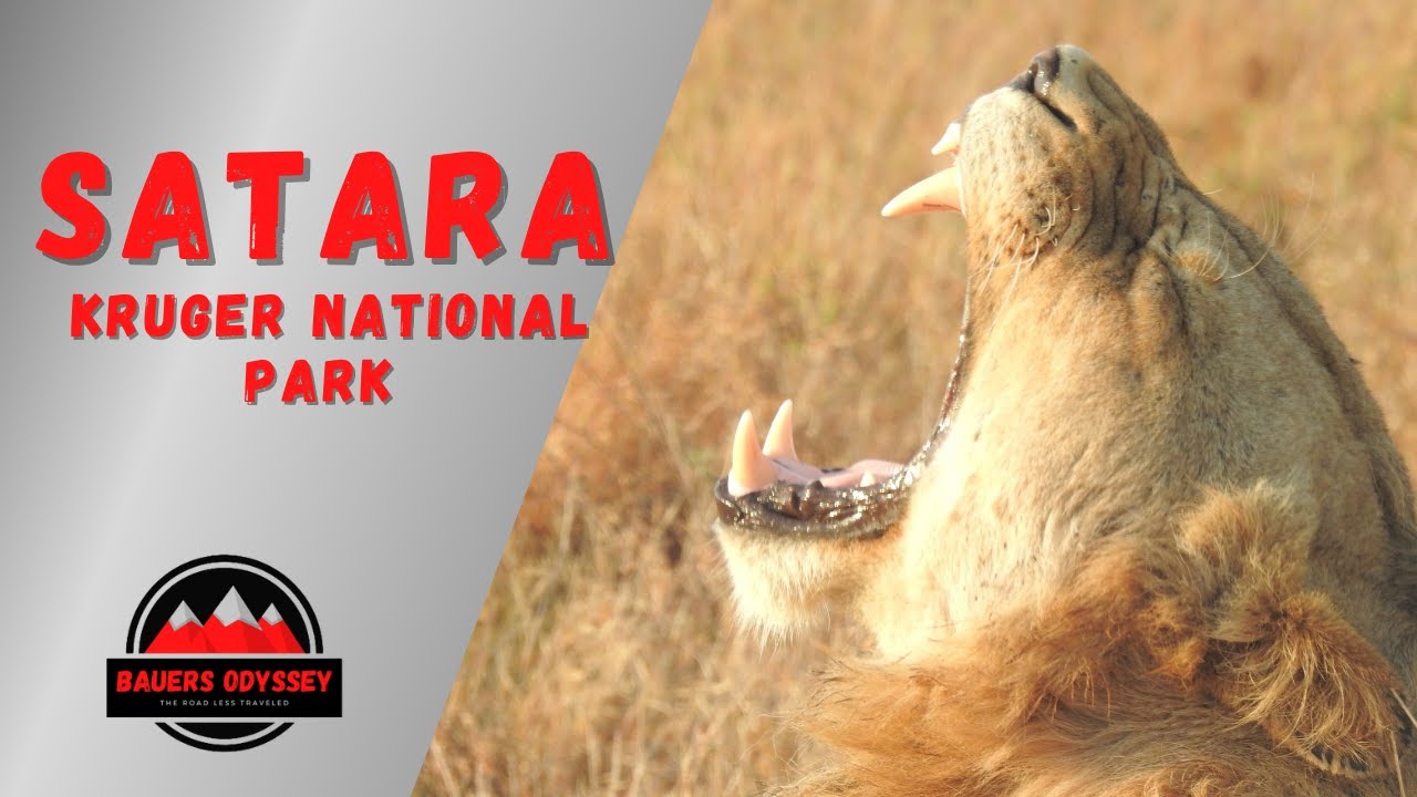 Kruger National Park Part 1 | Satara Rest Camp