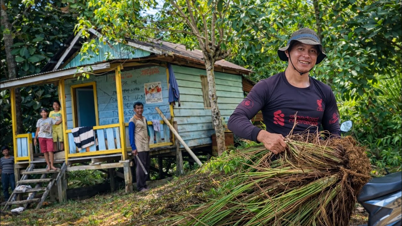 JAUH DARI KOTA, INILAH AKTIVITAS DI KEBUN TENGAH HUTAN.