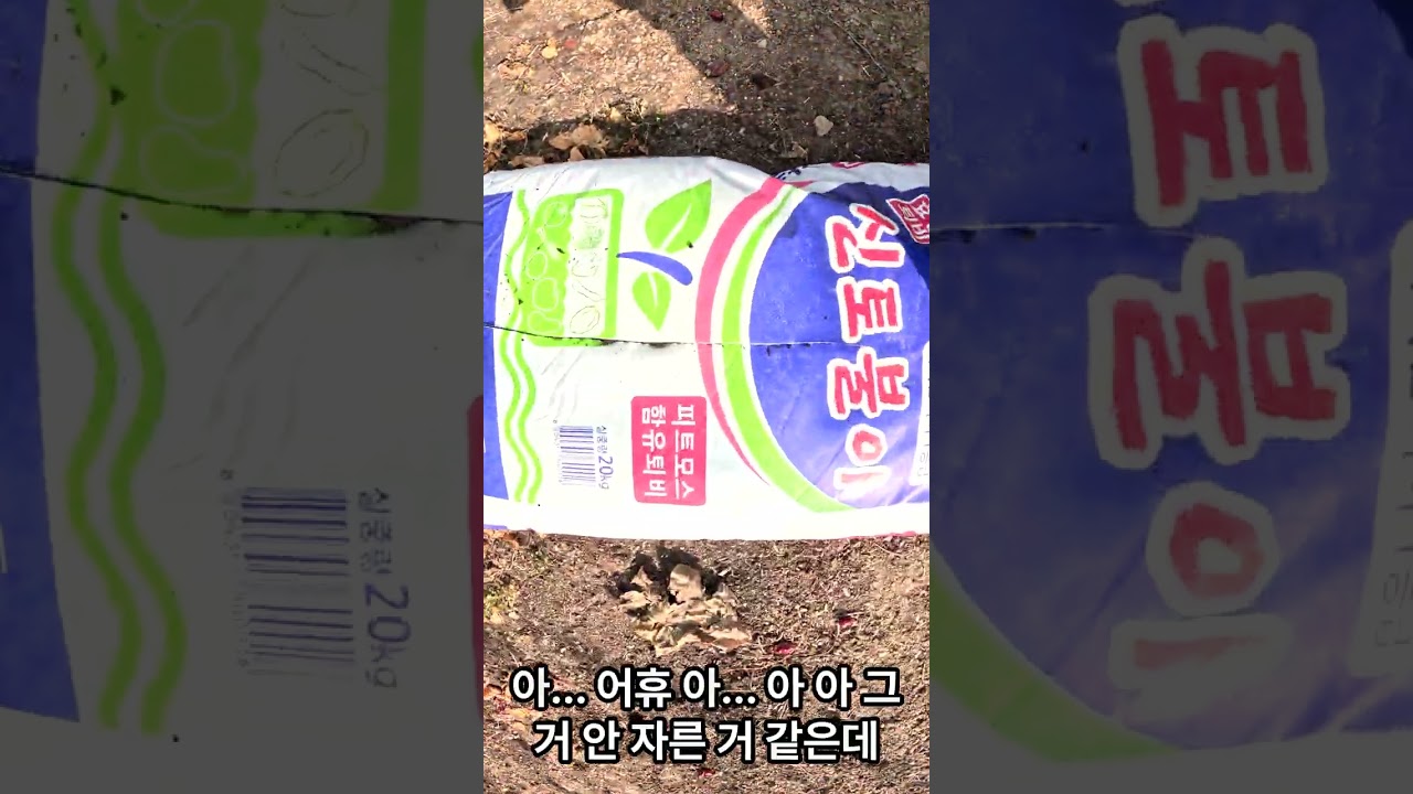 퇴비피기