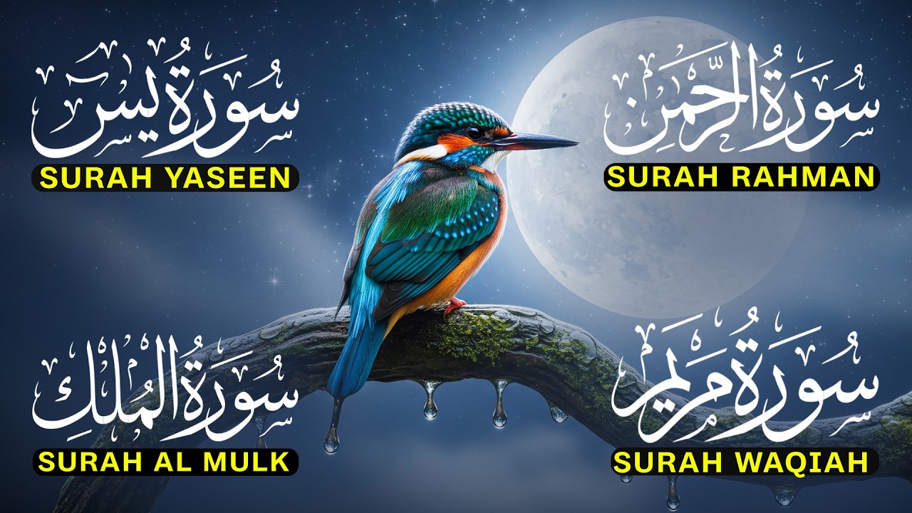 Magical Recitation,Surah Yasin | Surah Rahman | Surah Waqia | Surah Mulk | Full HD-ALAA AQEL | EP-42