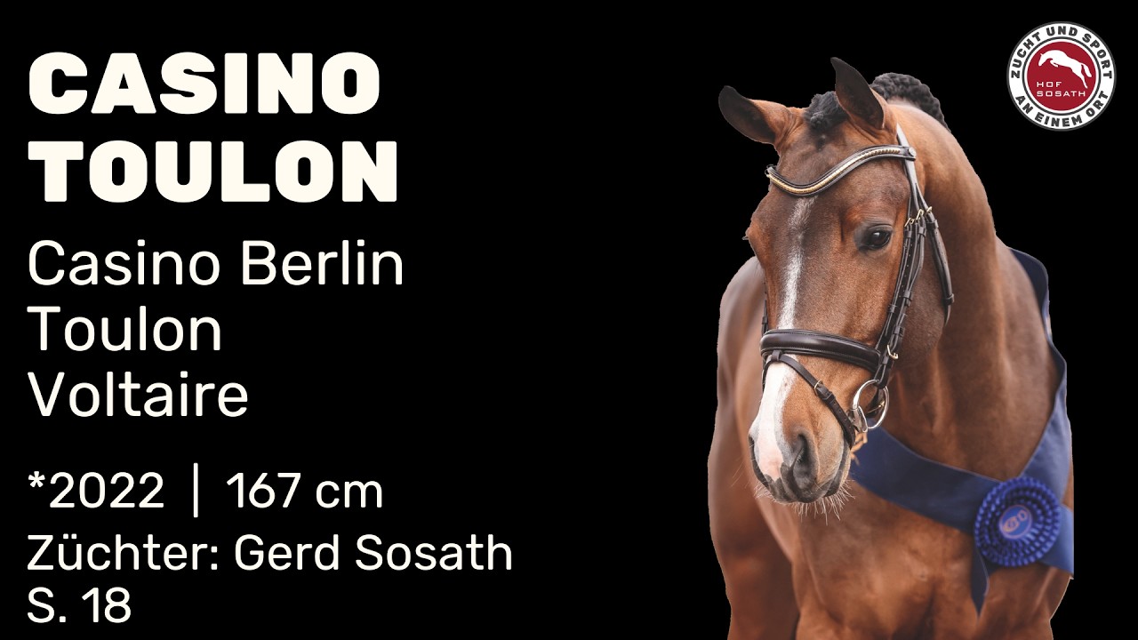 Casino Toulon - Hengstschau 2026