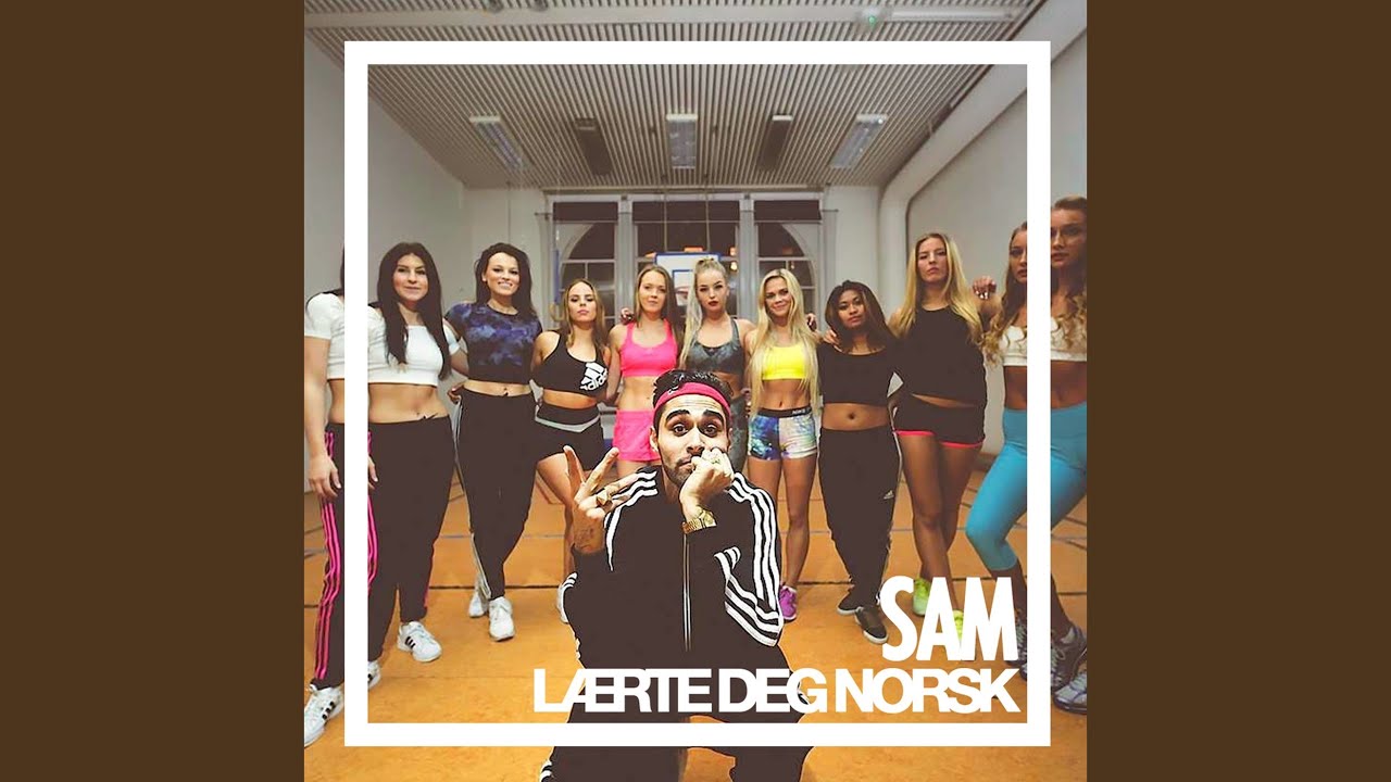L&aelig;rte deg norsk (Remix)