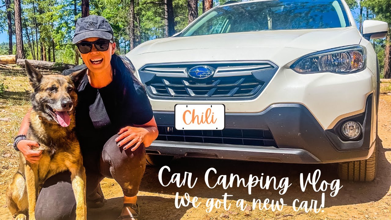 No Build Car Camping Set Up with Dog I Car Camping I New 2022 Subaru Crosstrek