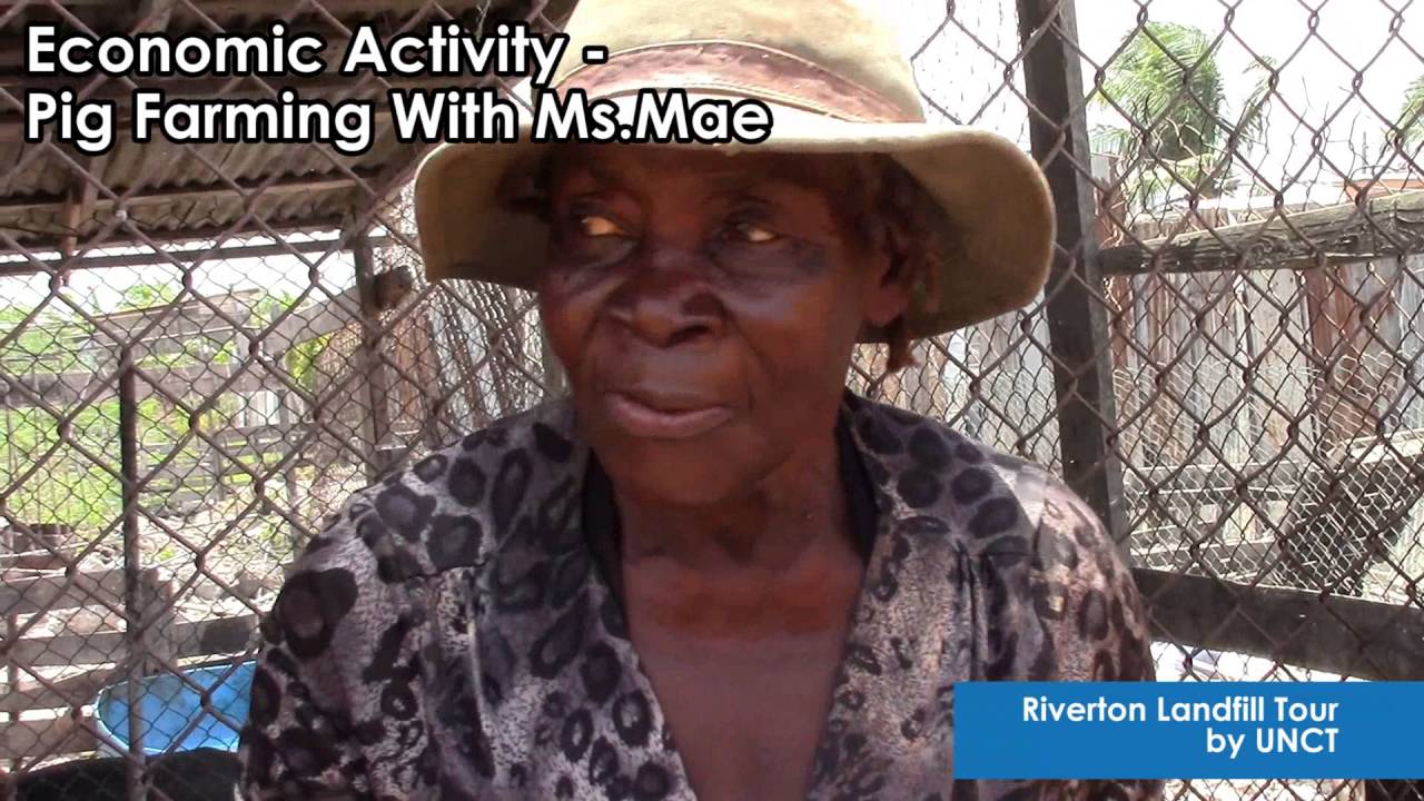 UN Jamaica : Economic Activity in Riverton -  Pig Farming