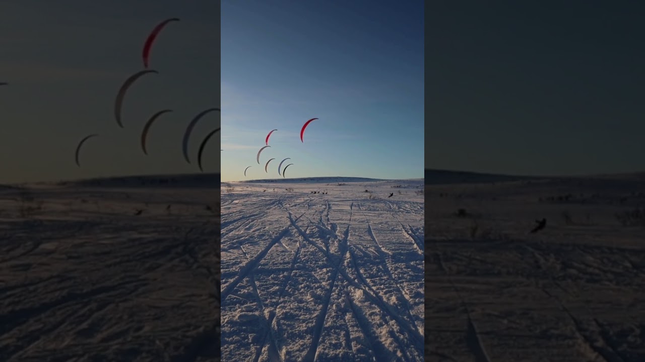 This Is What Falling 13,000 Feet Looks Like 🪂 #parachutejump #skydiving #shorts