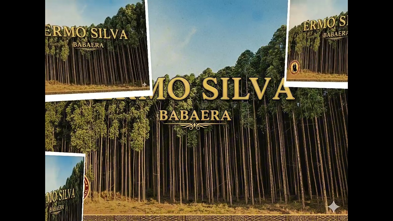 ERMO SILVA - BABAERA 