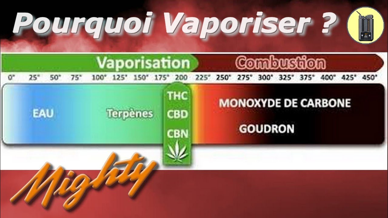 11 Bonnes Raisons Pour Vaporiser, Vaporisateur portable Mighty, Test & Avis