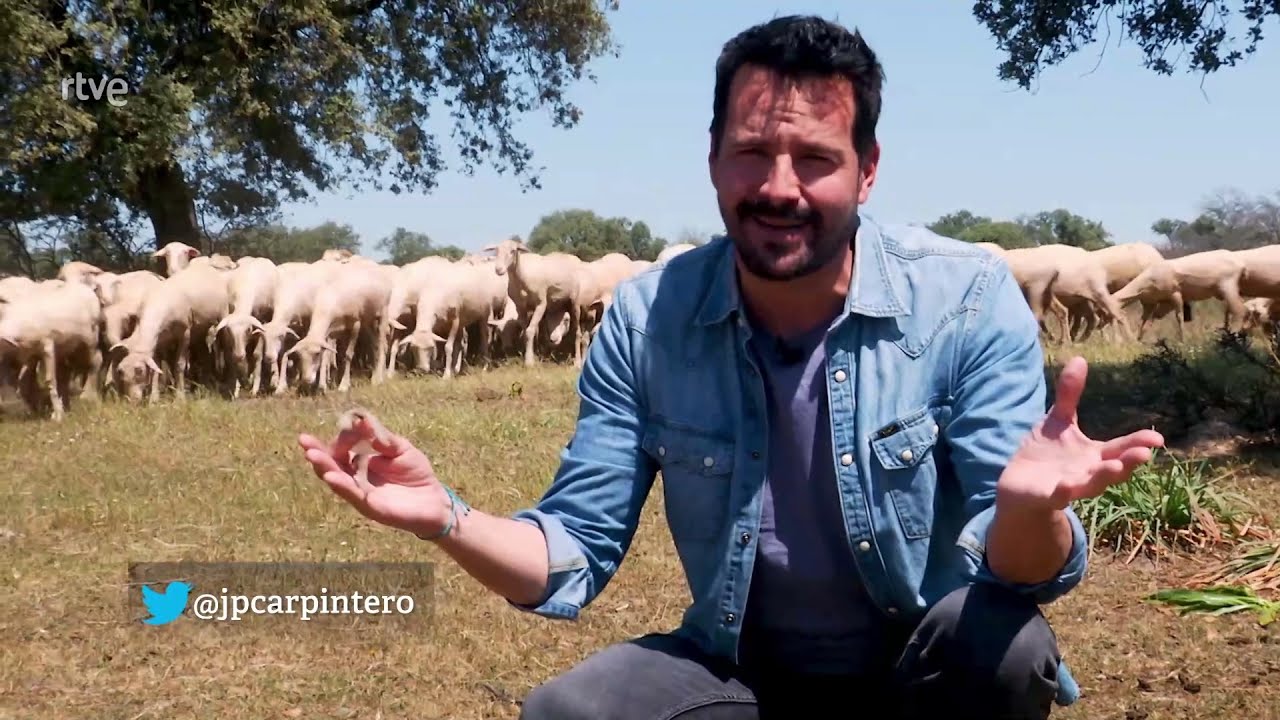 ESQUILA DE LAS MERINAS ORTIZ  ( TVE 1 