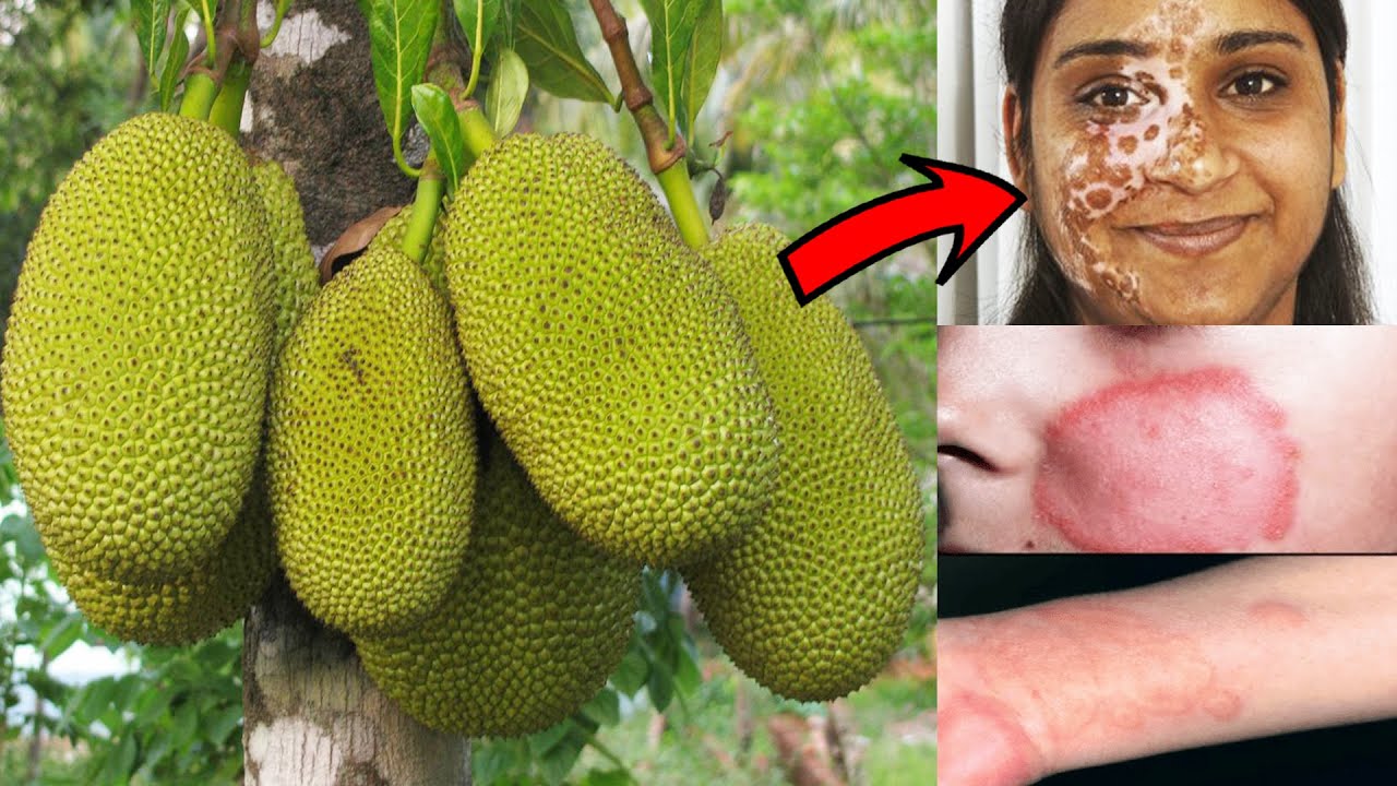 5 चीजें कटहल के साथ भूलकर भी ना खाएं बहुत पछताना पड़ेगा, Know When You Shouldn't Eat Jackfruit