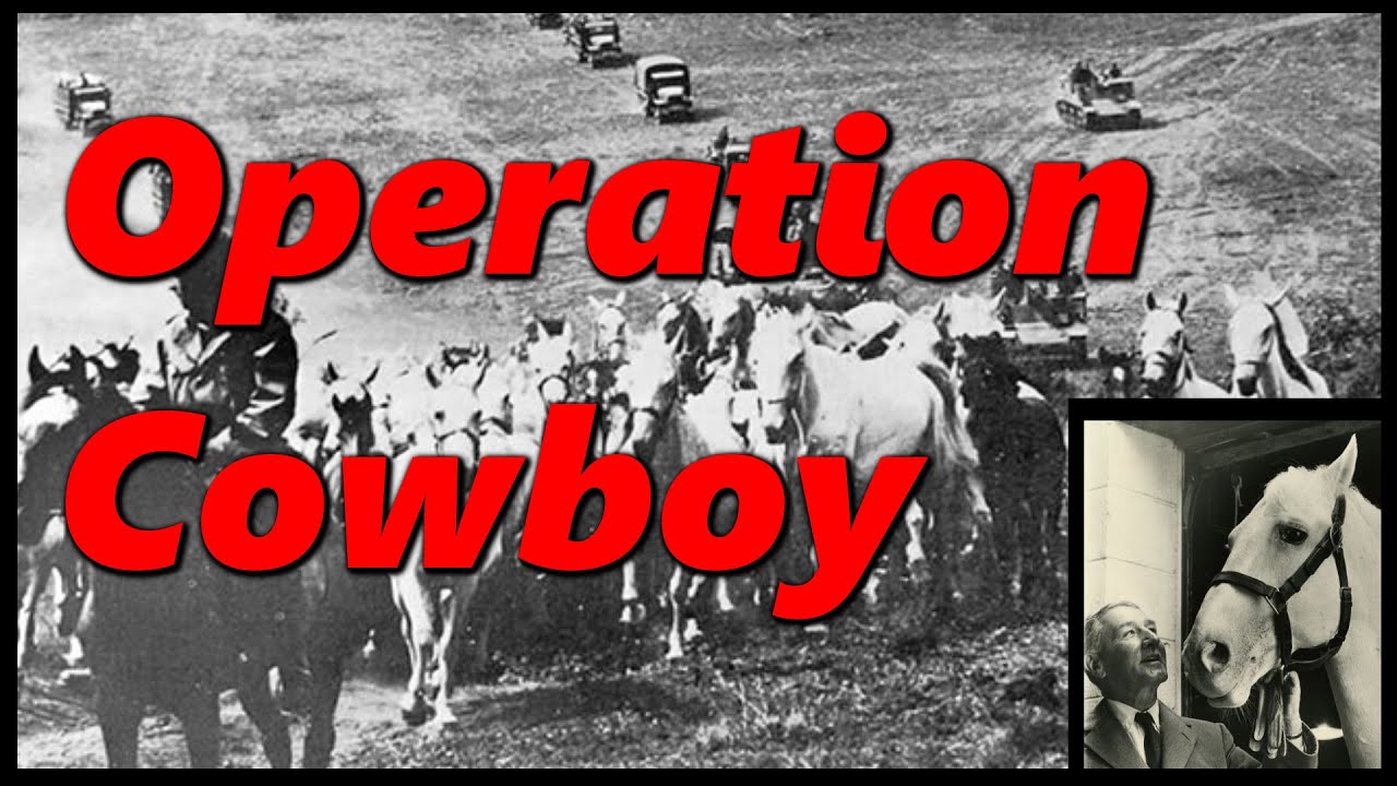 Lipizzaner Horses Saved by United States - German Alliance | Operation Cowboy | History in the Dark