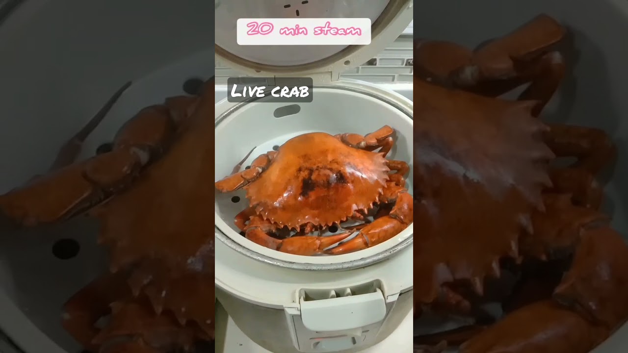 LIVE CRAB