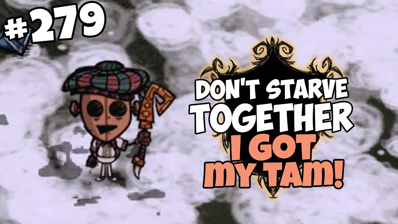 I Got My Tam Back! - Don't Starve Together Gameplay - Part 279