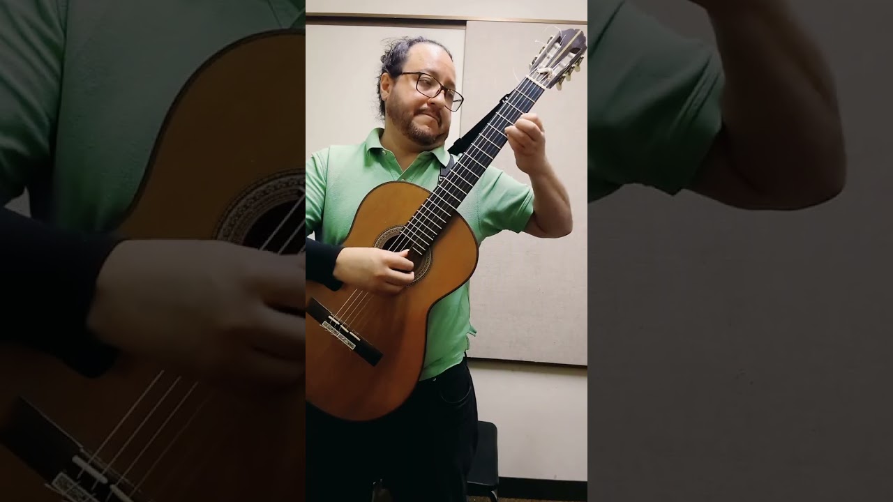 Mr B A C H visits Brasilia - Walter Burle-Marx