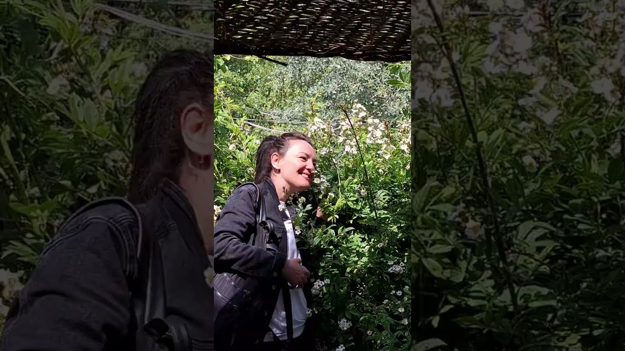 ANTİKKÖY (Çatalca)