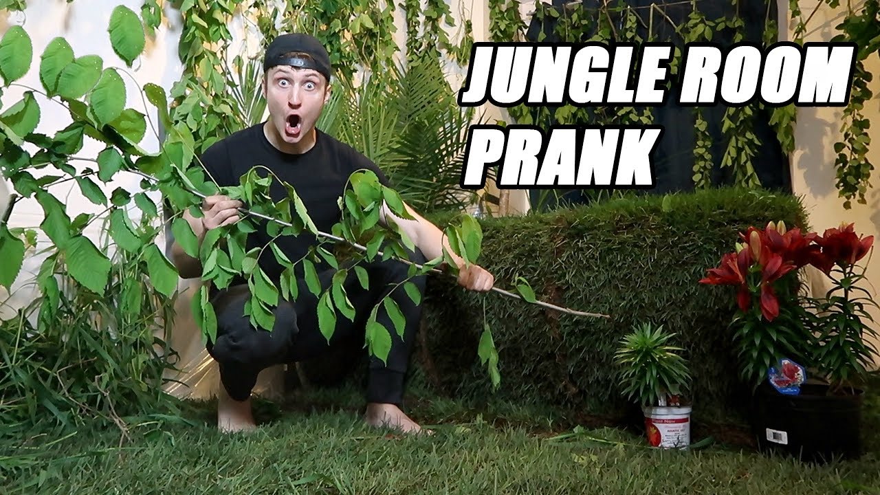TURNED HIS ROOM INTO A JUNGLE PRANK!! (REAL GRASS) PRANK WARS